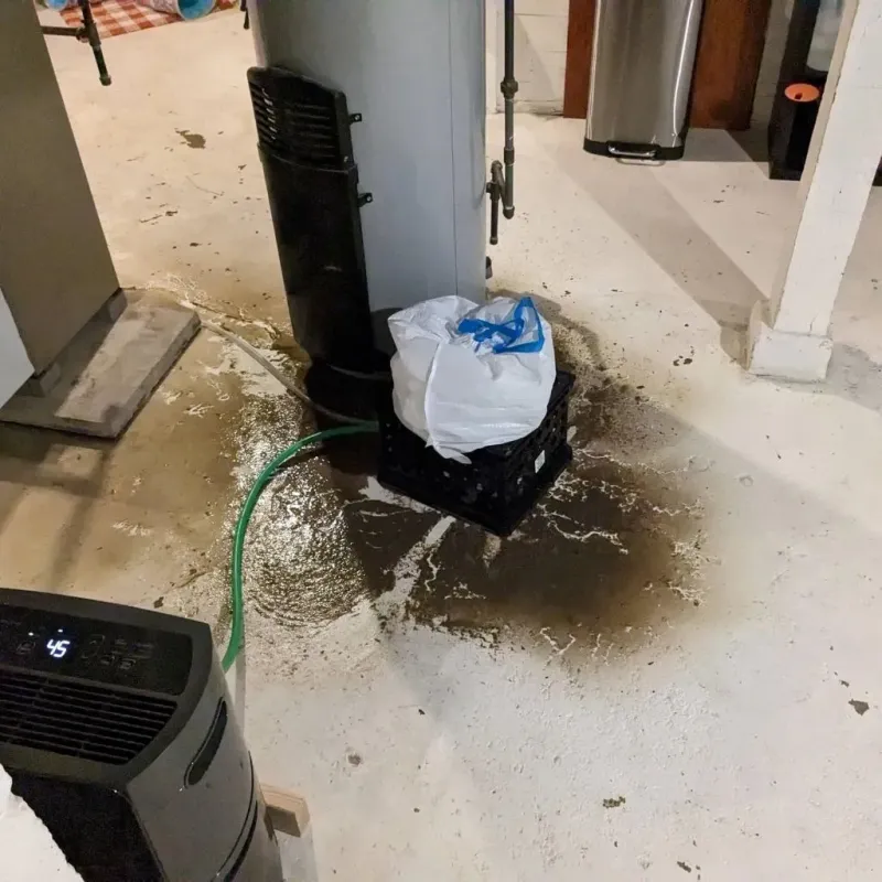 Sewage Backup Cleanup Service in Villisca, IA